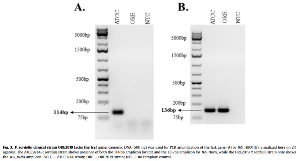 OHSU Infectious Diseases Division tweet media