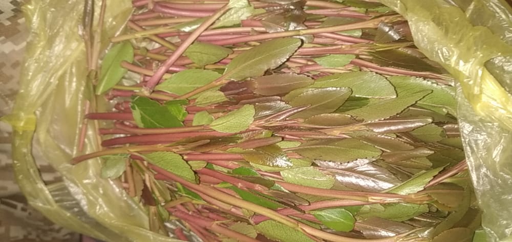 من فاضي يناط حاااص