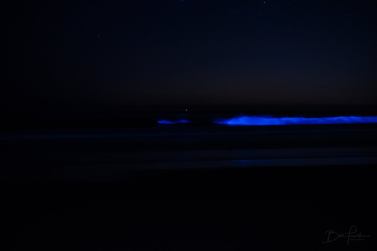 BFeatherNBC's tweet image. Bioluminescence has returned to the #SanDiego coastline! Check out these shots from La Jolla Shores last night. #NBC7