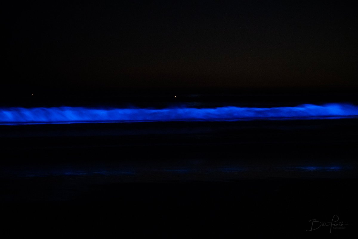 BFeatherNBC's tweet image. Bioluminescence has returned to the #SanDiego coastline! Check out these shots from La Jolla Shores last night. #NBC7