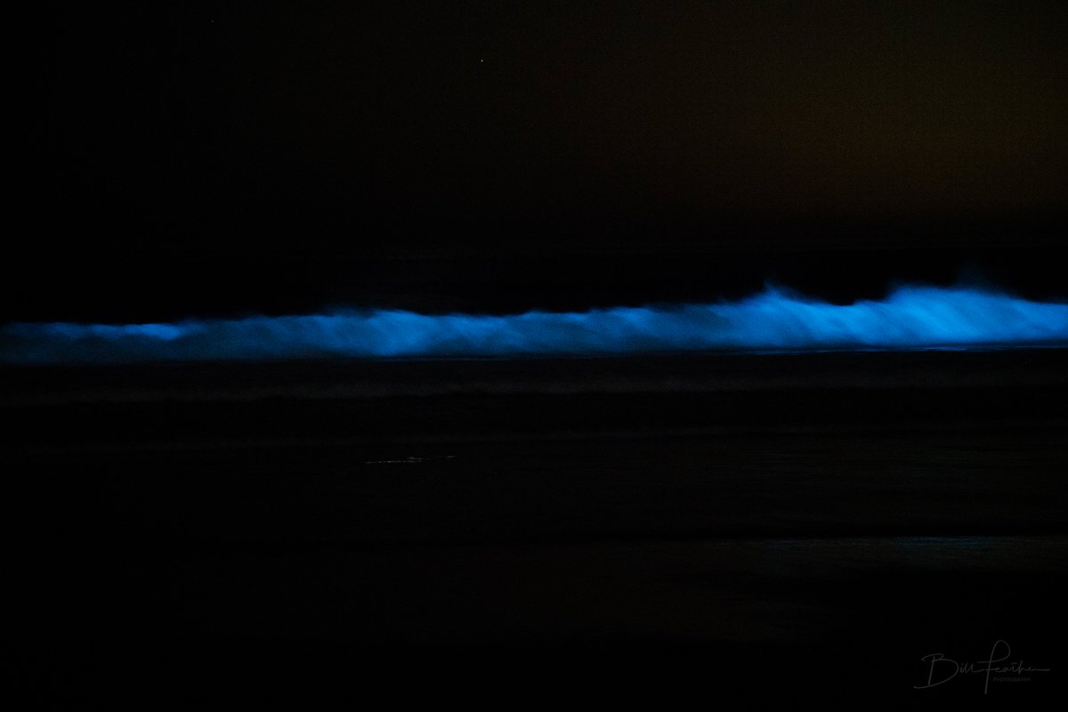 BFeatherNBC's tweet image. Bioluminescence has returned to the #SanDiego coastline! Check out these shots from La Jolla Shores last night. #NBC7