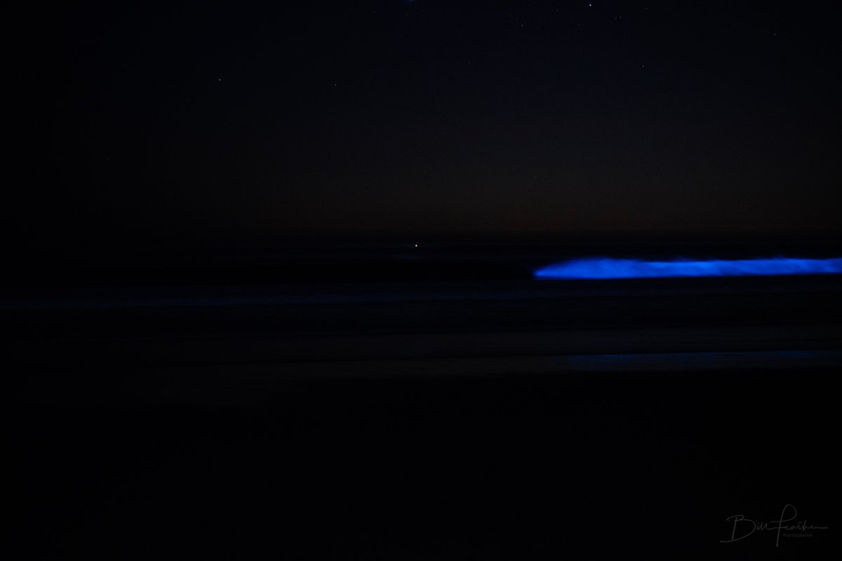 BFeatherNBC's tweet image. Bioluminescence has returned to the #SanDiego coastline! Check out these shots from La Jolla Shores last night. #NBC7