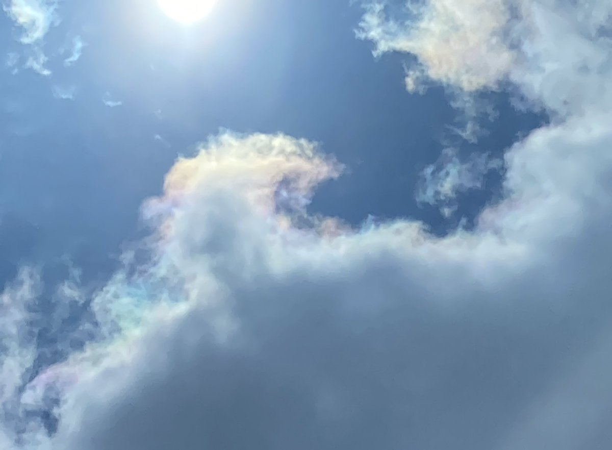 taecomw's tweet photo. #彩雲 #天気の図鑑 #glowingcloud
#秋田の空 https://t.co/bkJTS97zzy