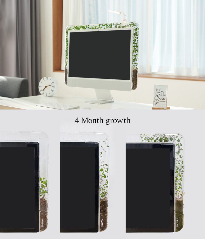 pltris's tweet photo. Vines grow along the monitor 🌿🖥
Flex those green fingers and your mind at work with Monitree!
 #Monitree #MonitorVines #GreenSpaces #GreenLife #Plant #gardens #PLTRIS https://t.co/NYhMpNZMK0