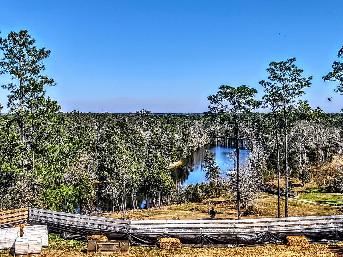 BigTonyy tweet media