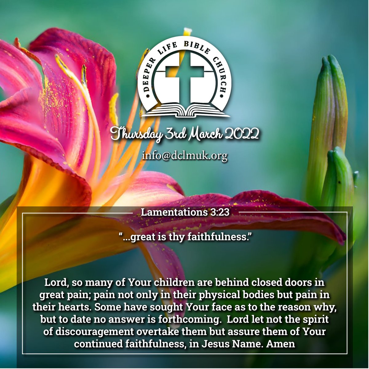 DCLMBorough's tweet photo. Our Daily Bible Verse and Prayer

March 3rd of March 2022 : Lamentations 3:23

#dailybibleverse #faithfulGod #faithoverfear #encouragement #pain https://t.co/luUetxAFVa