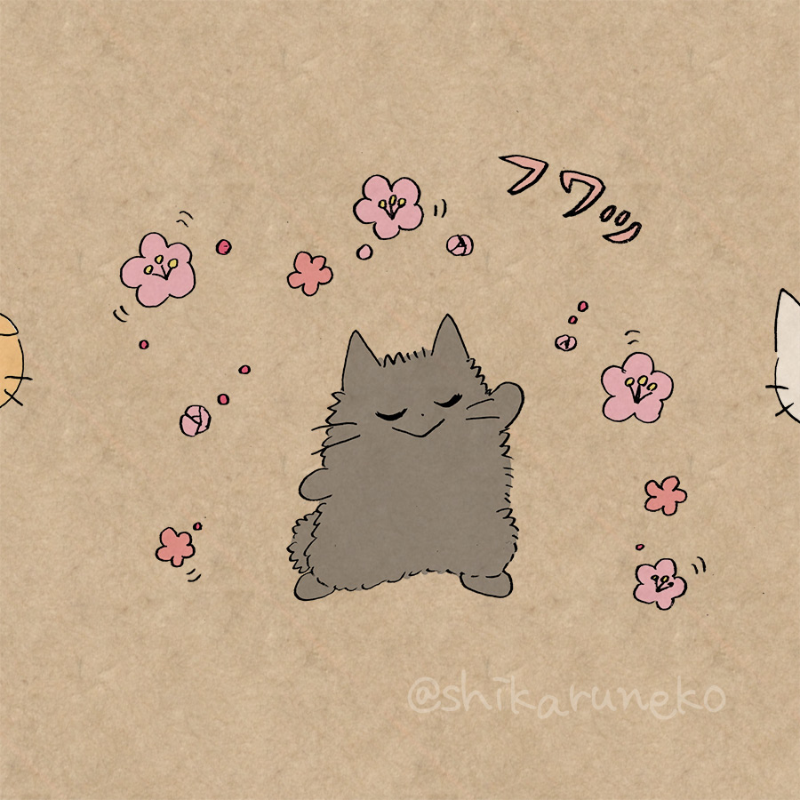 本日3月3日は『あまやかすねこ』の誕生日だよ!🌸
#ひな祭り 