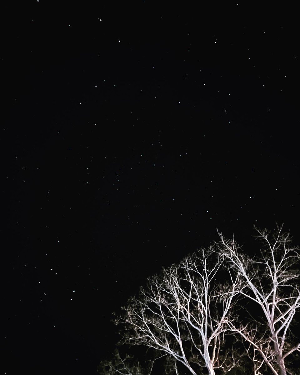 AdiSpeaX's tweet photo. Took this yesterday when I was taking the early morning train from Subrahmanya Road! #Astrophotography  #starfields #stars #universe https://t.co/IUQaoNiVLw