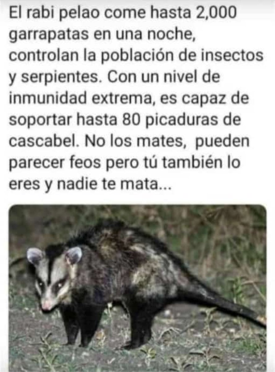 Carlos Gárate tweet media