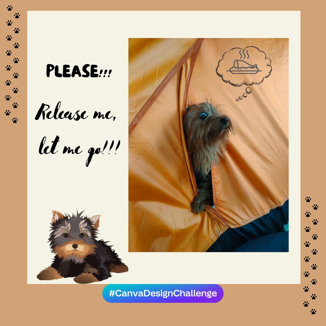 avicflores's tweet photo. Jackson trying to escape while his mommah is sleeping.😂🥰
#CanvaDesignChallenge
#ilovecanva
#firsttimecamper
#dogescapeact https://t.co/E3hqhAkrQO