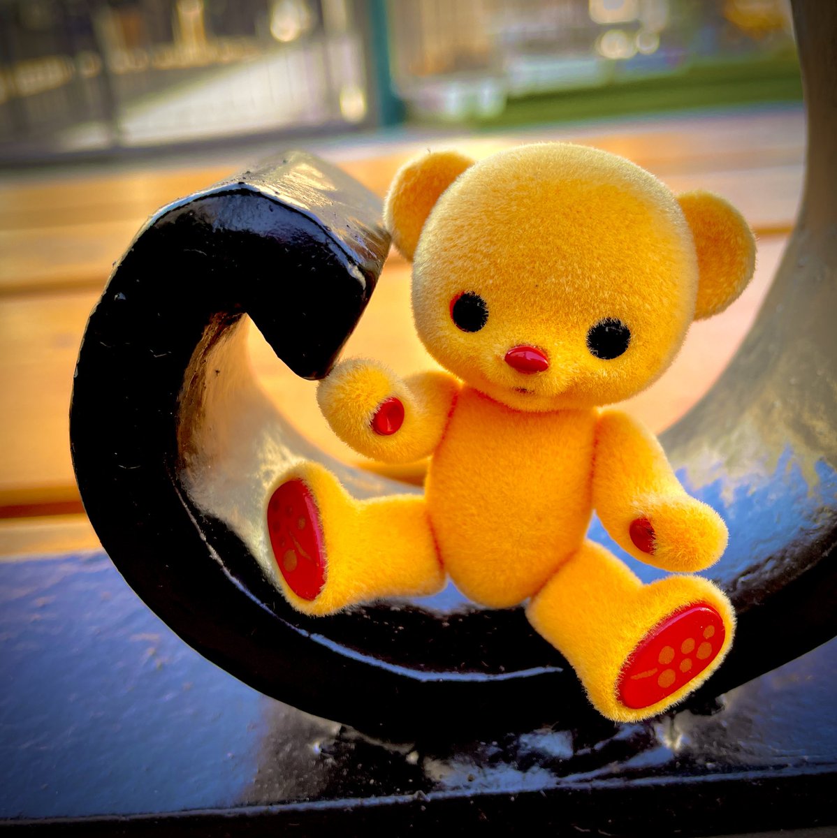 LaCoccolo's tweet photo. #honeybear
#ハニーベア
#わたしのハニーベア https://t.co/WWLs0gwfHu