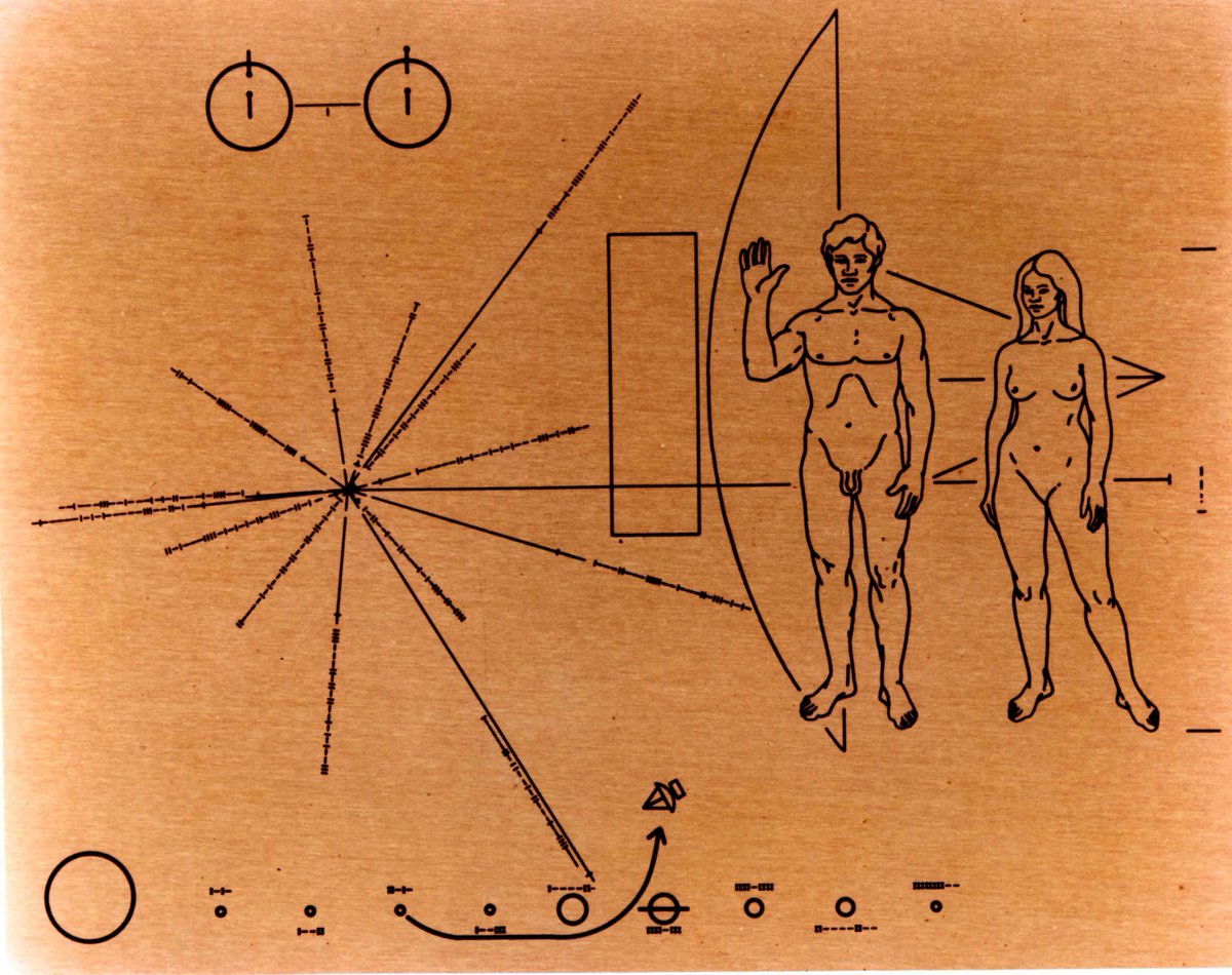 Gold Pioneer Plaque.