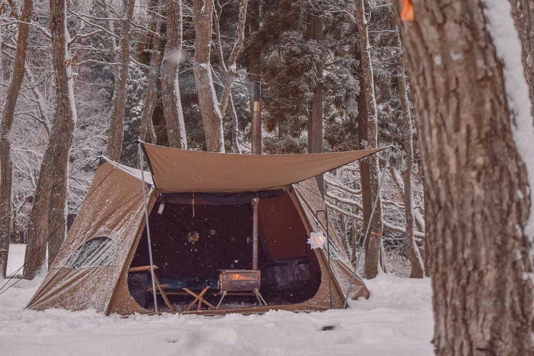 OneTigris tweet media