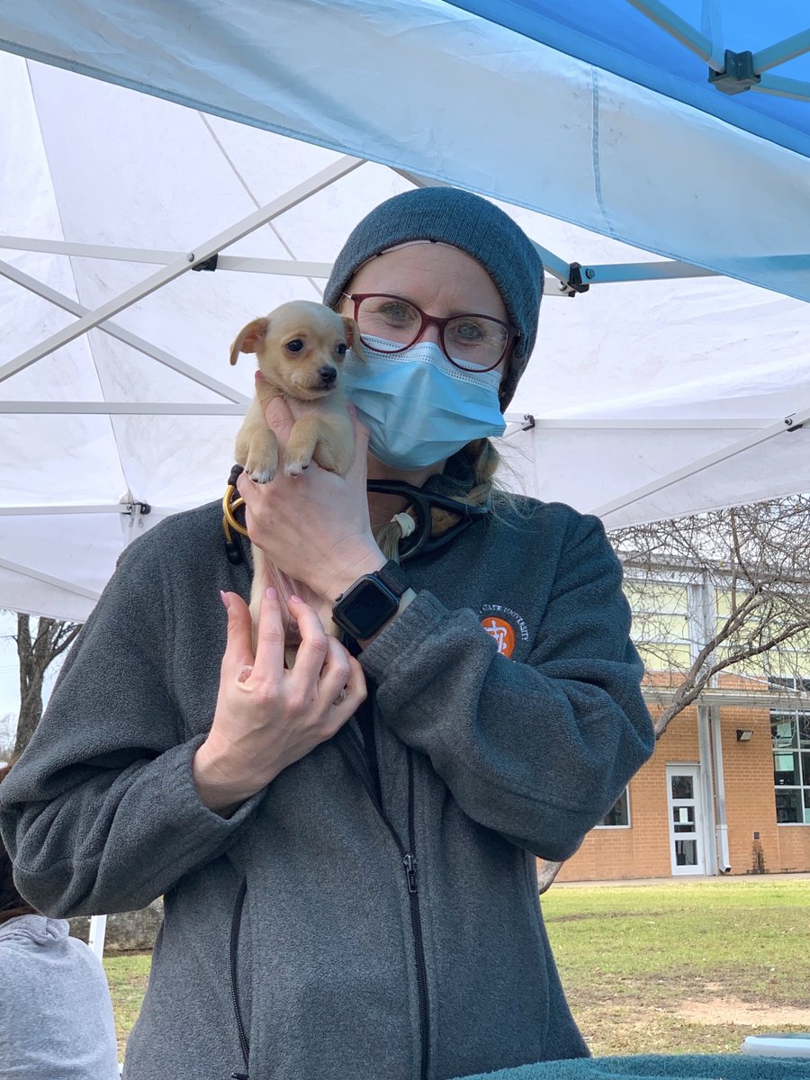 emancipet's tweet photo. When you amplify Emancipet NOW, you ensure dogs like Zoro, Zion, Egypt, Gyro & Jobe get the vaccinations they need to enjoy being a puppy! Your Amplify Austin gift today will be TRIPLED, up to $50K so don’t wait to give double the tail wags today! https://t.co/6pA0DAW2Ui
#ILHIGH https://t.co/JgcsI8gtz1