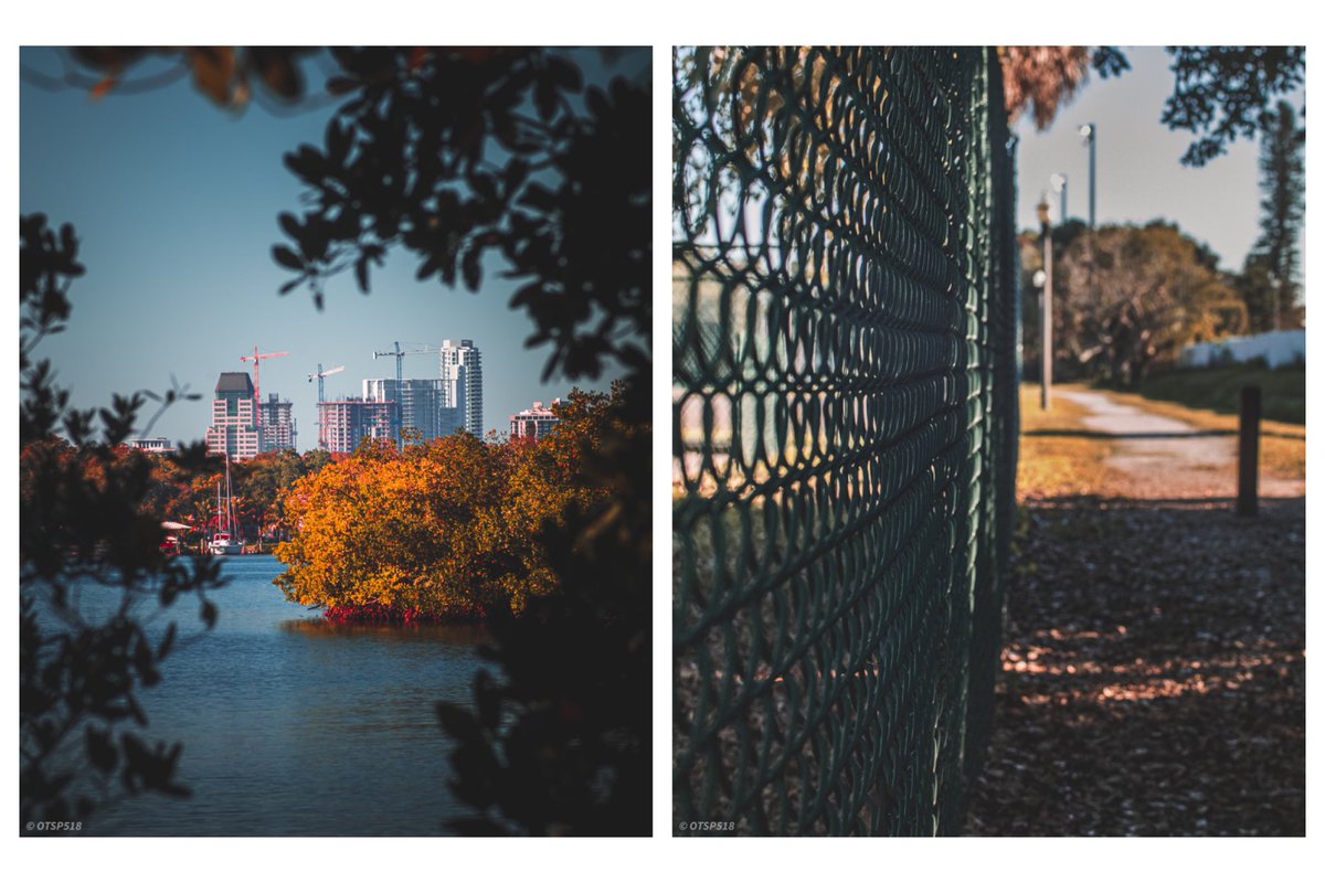 EmceeGraffiti's tweet photo. I like things.
📷 Canon M50
•
•
•
#canon #m50 #viltroxspeedbooster #doors #bluedoor #birds #ibis #sunset #bayvistapark #coquinakey #coquinakeypark #architecture https://t.co/RGv4it54B2