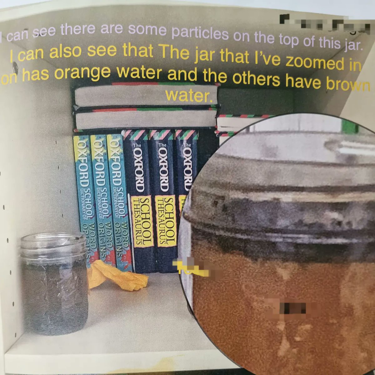 The children saw the need to grow food in Tonga, but noticed the land had been damaged by sea water and the tsunami, so they took soil samples to test if the land was viable. We took these soil samples outside of our story and used them to power our learning.#MantleOfTheExpert