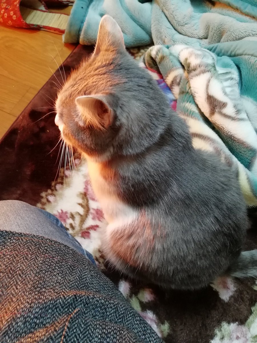 隣で一緒にヒーターで暖まる幸せ✨