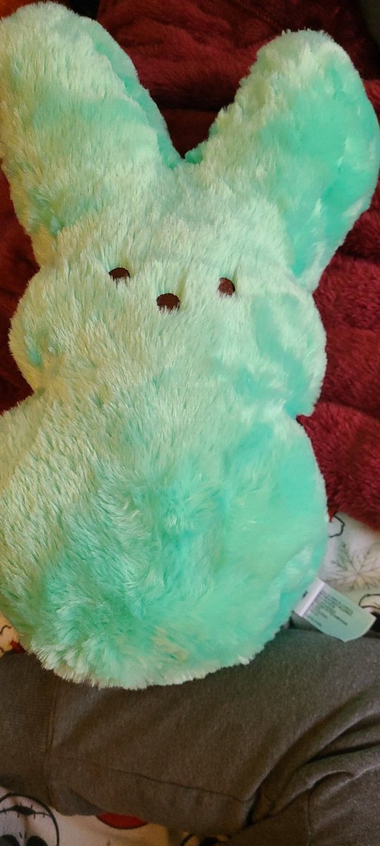 KristyTracey's tweet image. I finally got one!!!🐇🐇