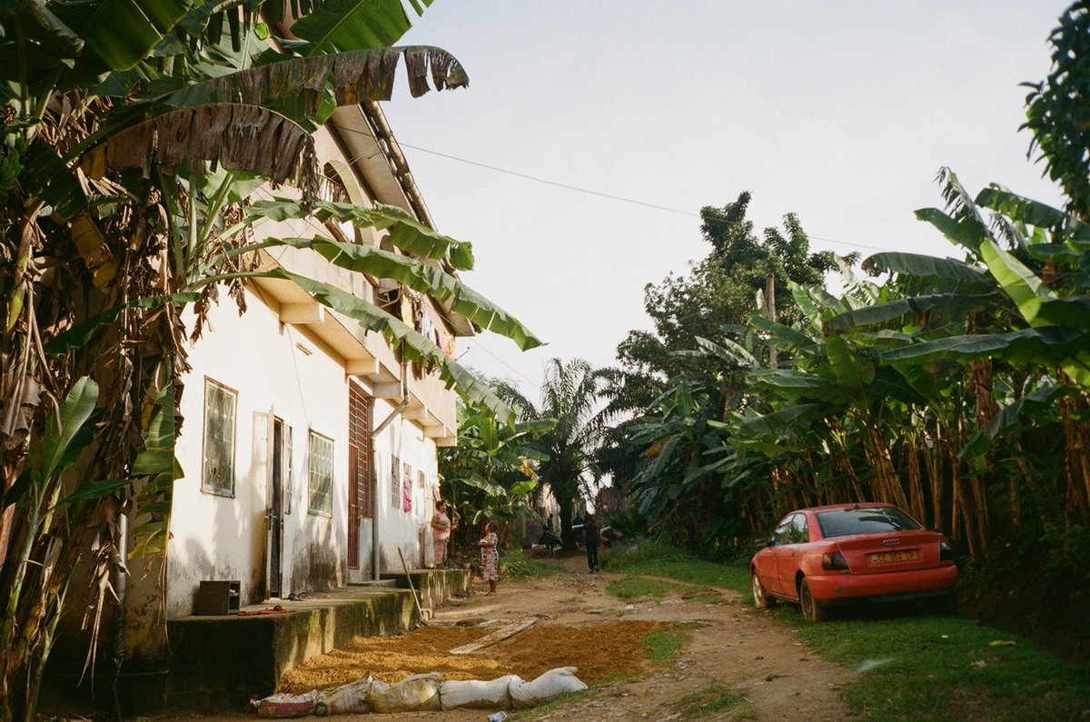 deeisabella's tweet photo. Cameroon on film, 2021-2022 https://t.co/76DdLYUTdI