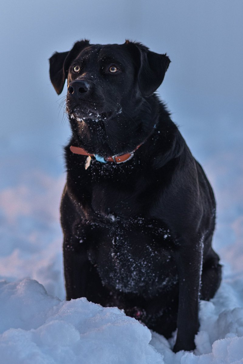 Leo + Peyton tweet media