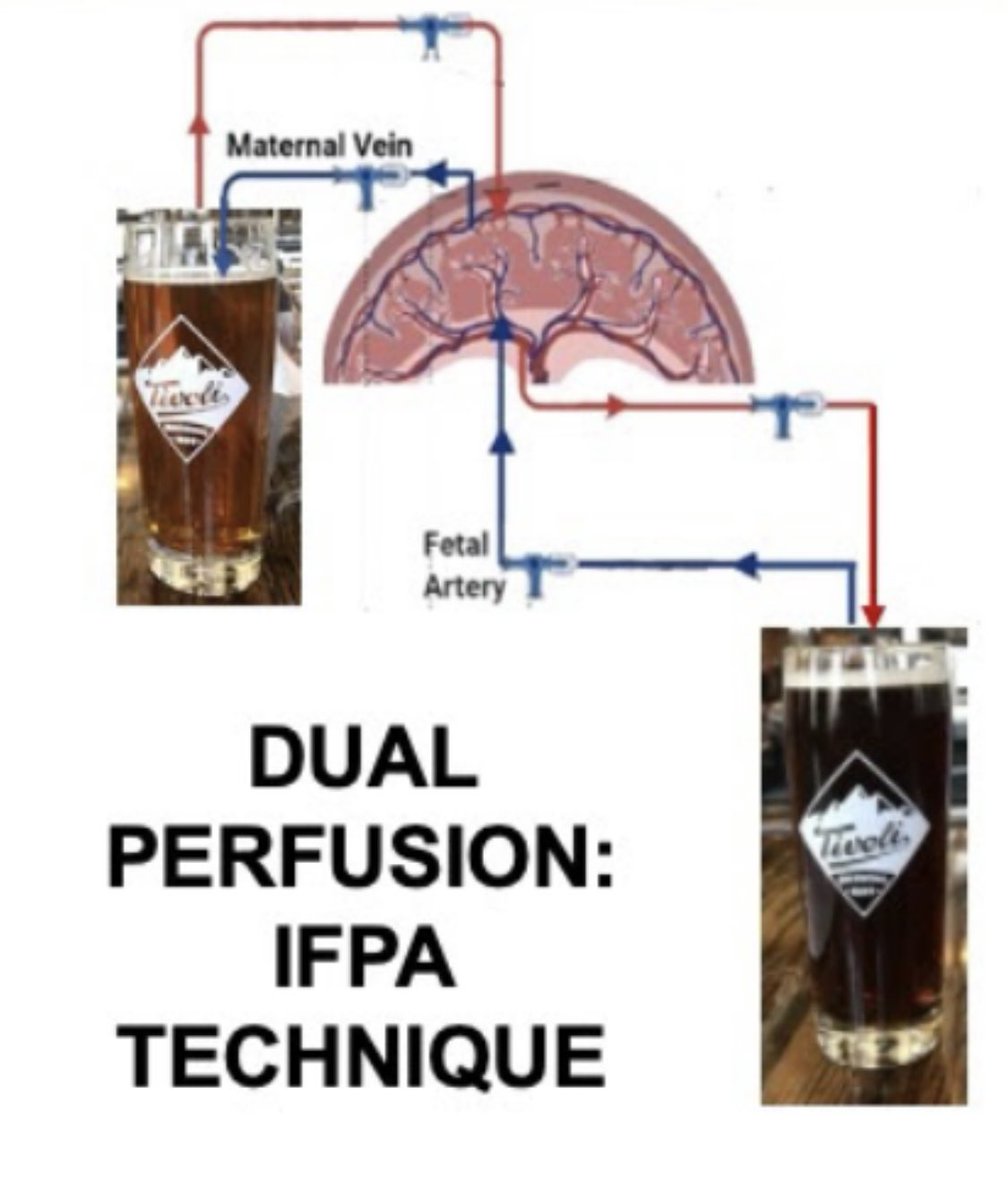Katie Nelson tweet media