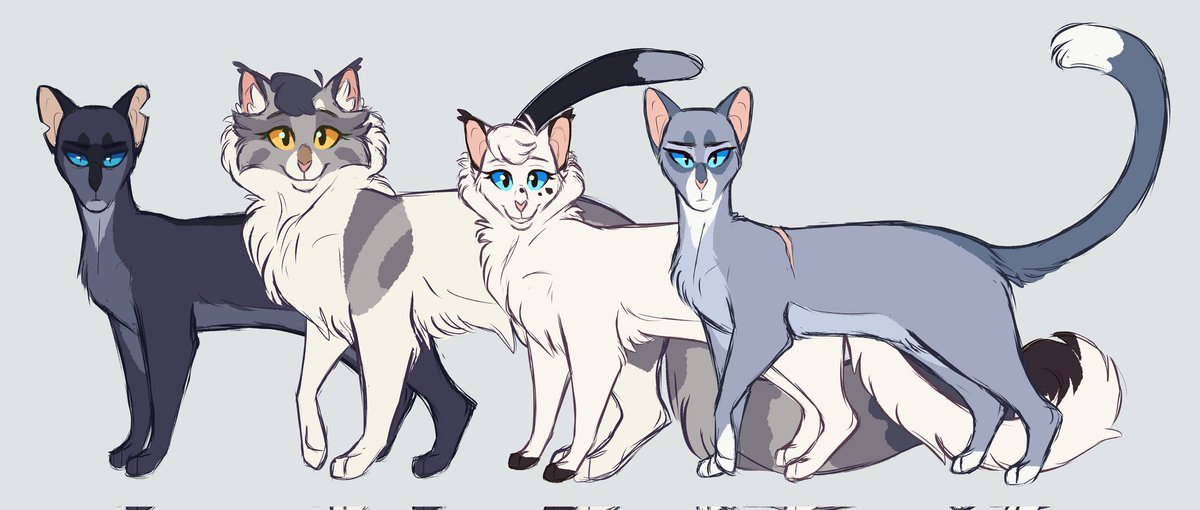 lttleghost's tweet photo. deciding to post a family I haven't drawn since 2018 tonight, it's the Stormtail/Moonflower family!!!
I'm so very pleased with Snowfur and Moonflower's designs
#warriorcats #stormtail #moonflower #snowfur #bluestar #characterdesign https://t.co/8sFY6A9B53