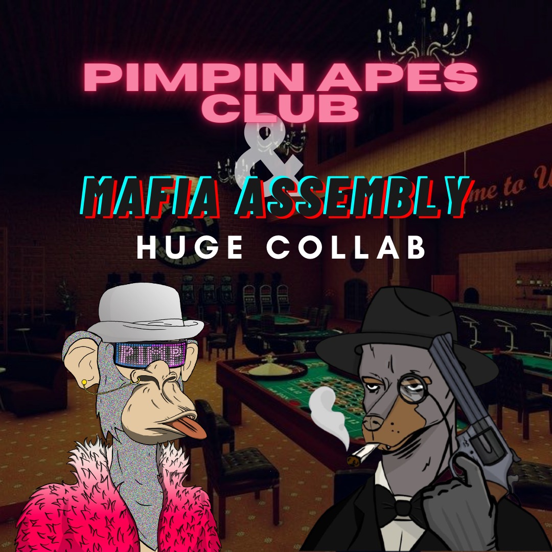We also love these awesome Mafias 😎

1 <a href="/PimpinApesClub/">Pimpin Apes Club | MINT IS LIVE</a> -> 1 Free Mint (only gas) - Mint Price: 0.069 $ETH 🚀
1 <a href="/themafiassembly/">The Mafia Assembly v2 on Ethereum</a> -> 1 Free Mint - Mint Price: 1 $SOL 💥

- Follow both🤝
- RT 🔁 and ❤
-Tag 3 Friends! 

 ⌛ 48 HRS ⏳
#NFT #NFTs #NFTCommunity #NFTGiveaway