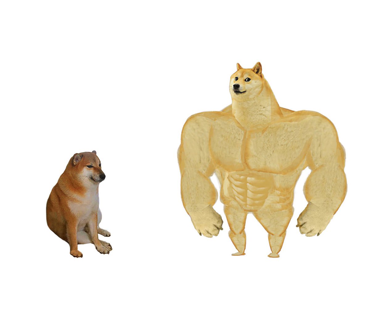 Empresas rusas llorando cierre de importaciones, restricciones al comercio y cepo cambiario / 
La Pyme Argenta