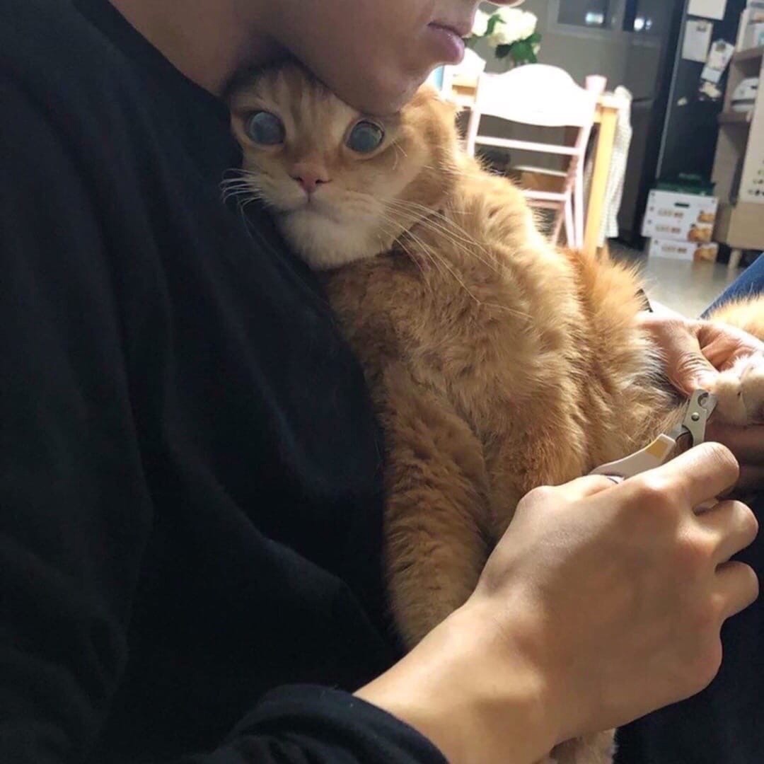 Ingrid Zimmerman (@ingridz44518195) on Twitter photo 