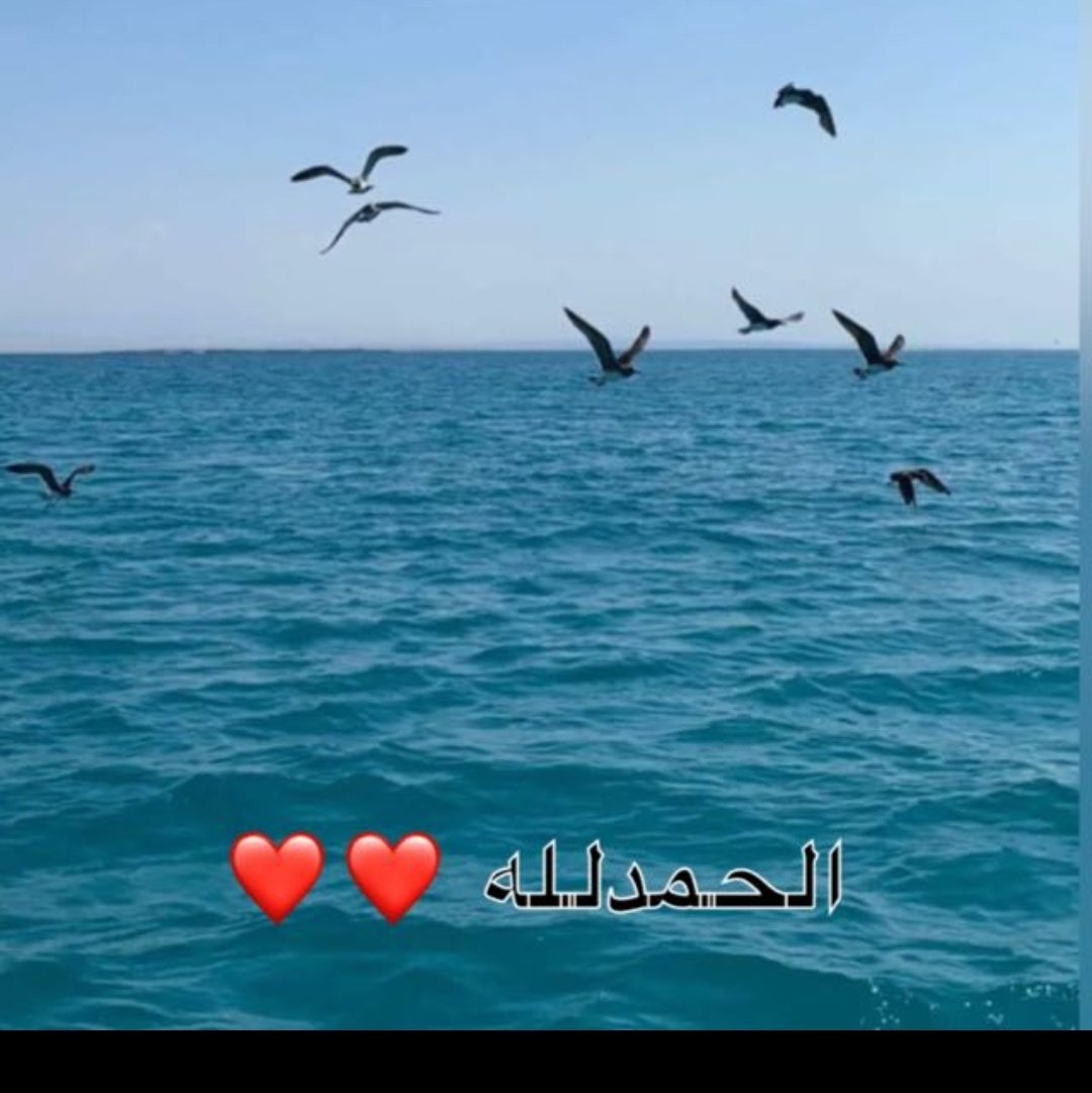 #صورة_ملف_شخصي_جديدة