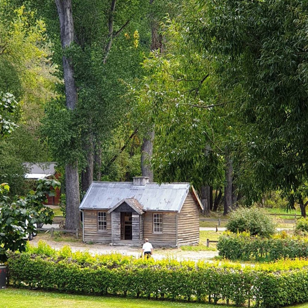 Queenstown NZ tweet media