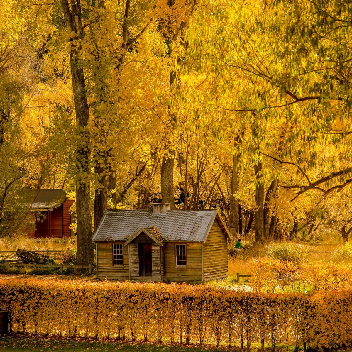 Queenstown NZ tweet media