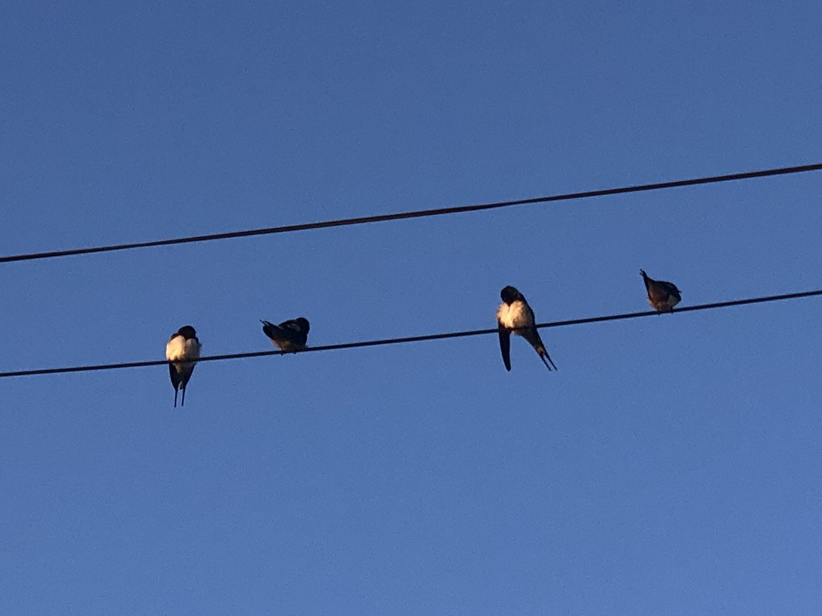 Esperando al sol