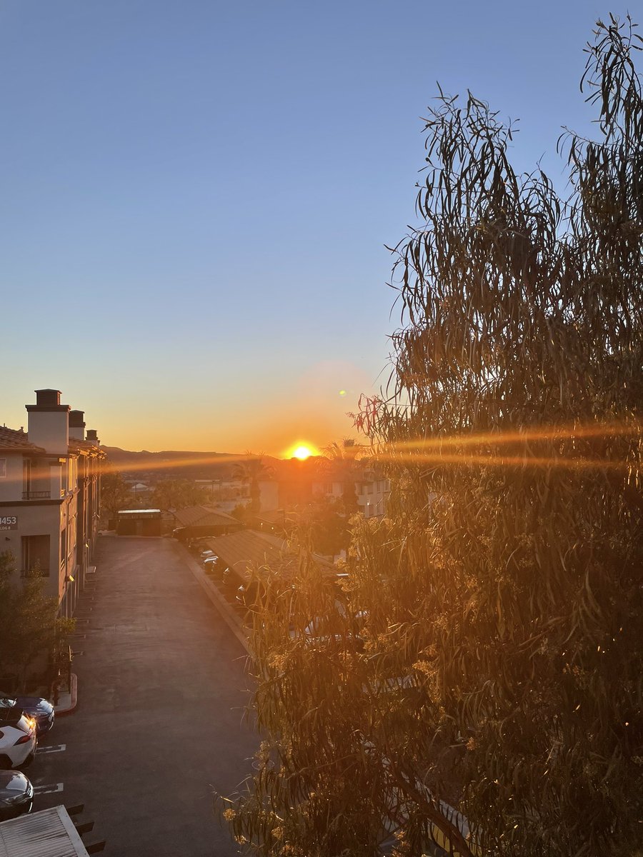 DJCVISION tweet media