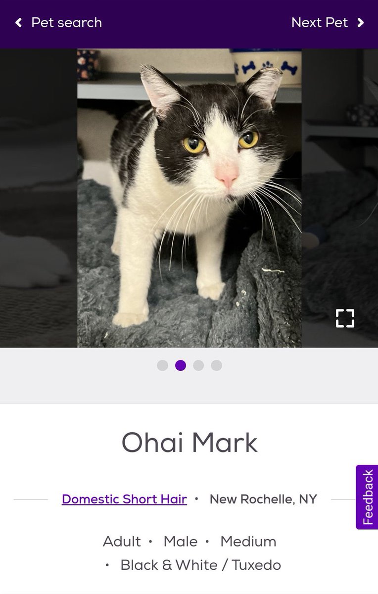 you’re tearing me apart, lisa!