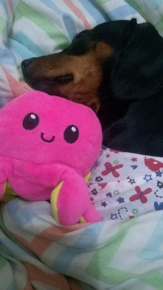 vmincoffer's tweet photo. muito linda a minha filha dormindo @kooqinhos https://t.co/1nqz3fJdps