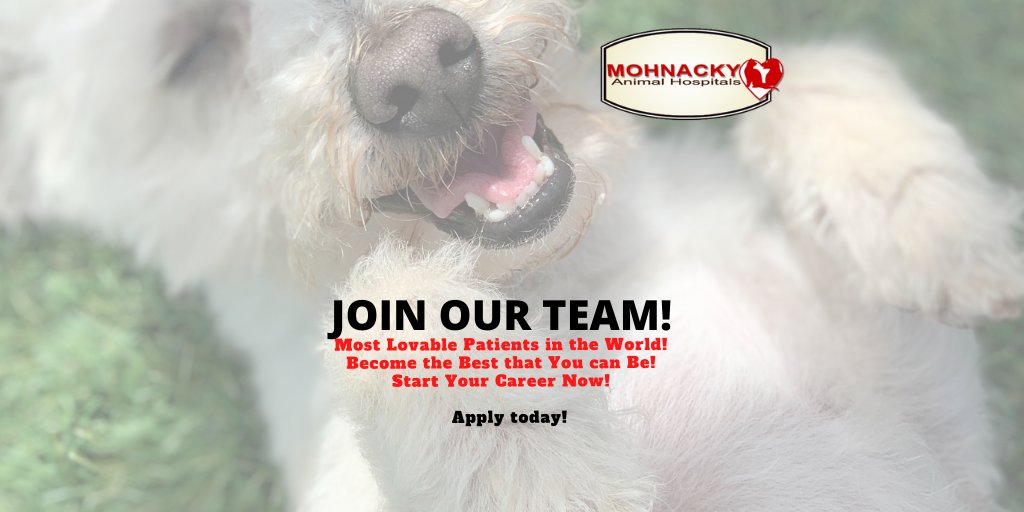 Mohnacky Animal Hospitals (@Mohnacky_Vets) / Twitter Mohnacky Animal Hospitals (@Mohnacky_Vets) / Twitter