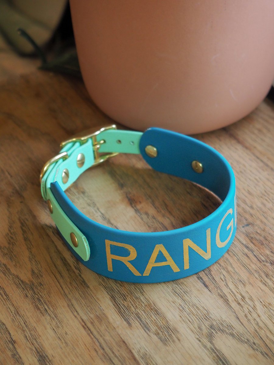 Would you add your pups name on your custom BioThane Collar or leash!! Can't wait to add this option to our line up! 💙 #biothane #handmade #twitterdogcommunity #dogsoftwitter #twitterdogs #Instagramdogs