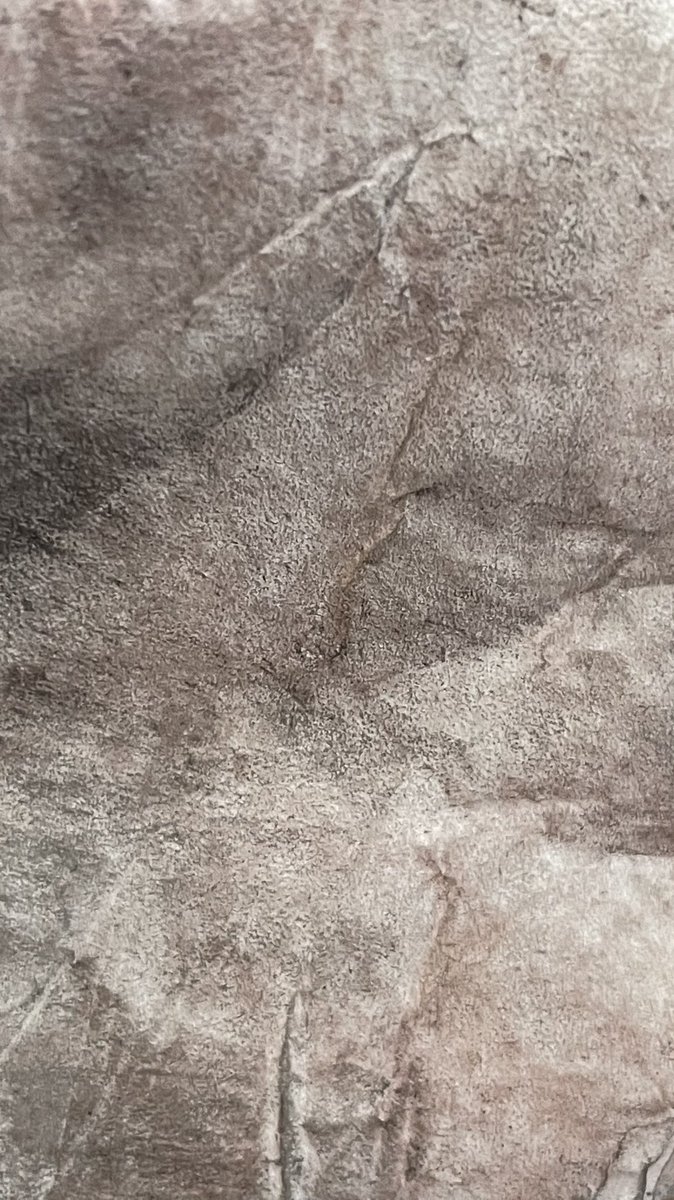 walk_draw's tweet photo. Drawings from palm of my hand. Tuning into the surface layer of the body and what lies beneath - the landscapes of the body maybe #Groundlines #drawing #ExperimentalDrawing #PencilOnPaper #Photography#WalkDraw #DrawingSculpture #WIP #drawingprojects @DrawingProjects https://t.co/Fbg1kZnMQH