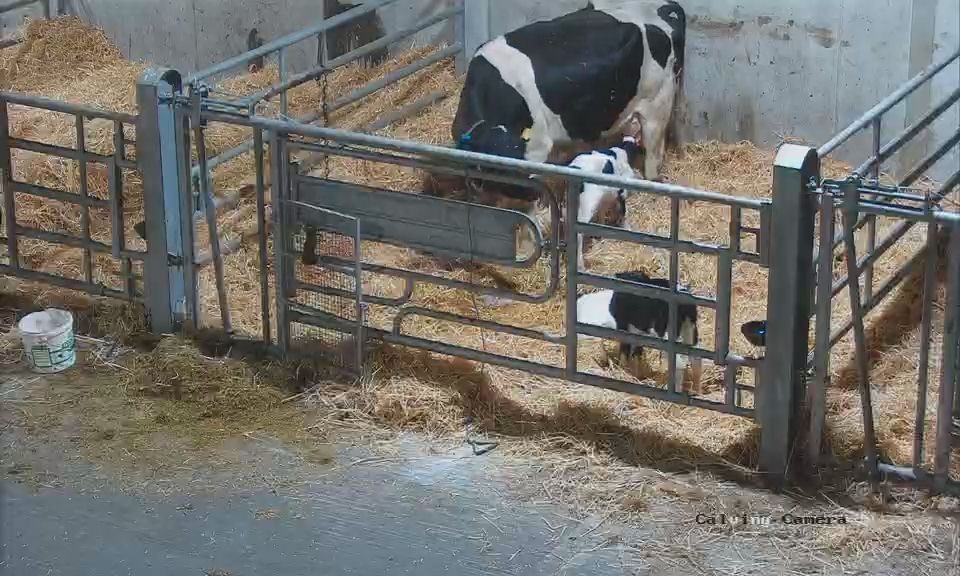 UCD Lyons Farm tweet media