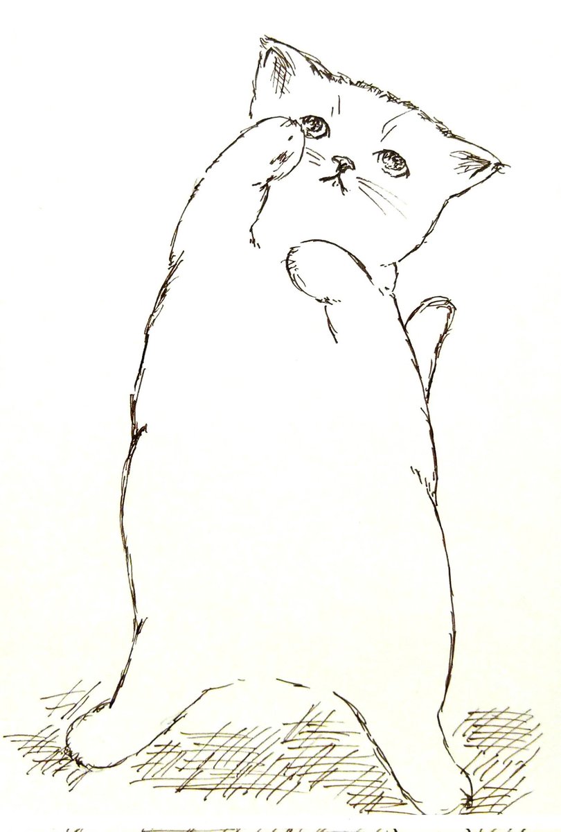 素敵な風景を描かれるWakana.yさんからバトンを頂きました🐱今回はアンカーで参加させていただきたいと思います🙏再掲の #ねこ ばかりですが、よろしくお願いします☺️
#引用RTで絵をあげて5人指名してバトンでお気に入りの絵を載せる