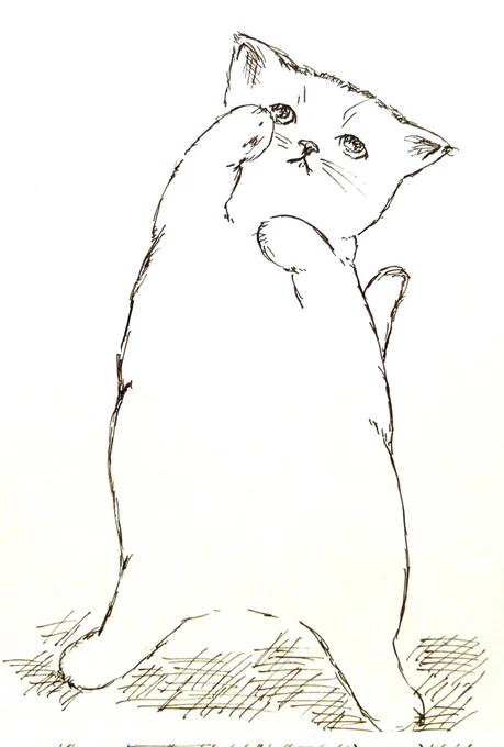 素敵な風景を描かれるWakana.yさんからバトンを頂きました🐱今回はアンカーで参加させていただきたいと思います🙏再掲の #ねこ ばかりですが、よろしくお願いします☺️
#引用RTで絵をあげて5人指名してバトンでお気に入りの絵を載せる 