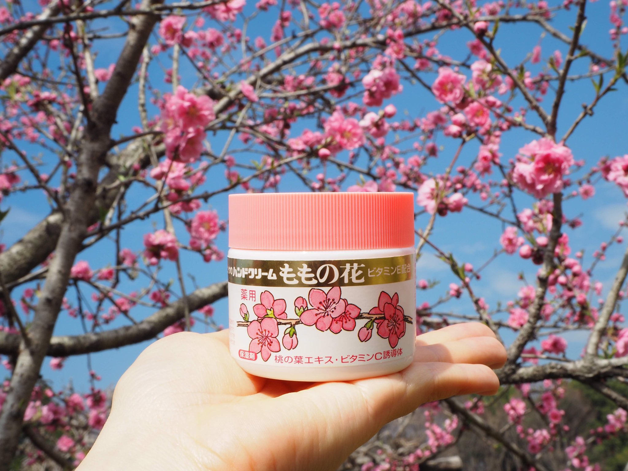 オリヂナル株式会社 Original Global Twitter