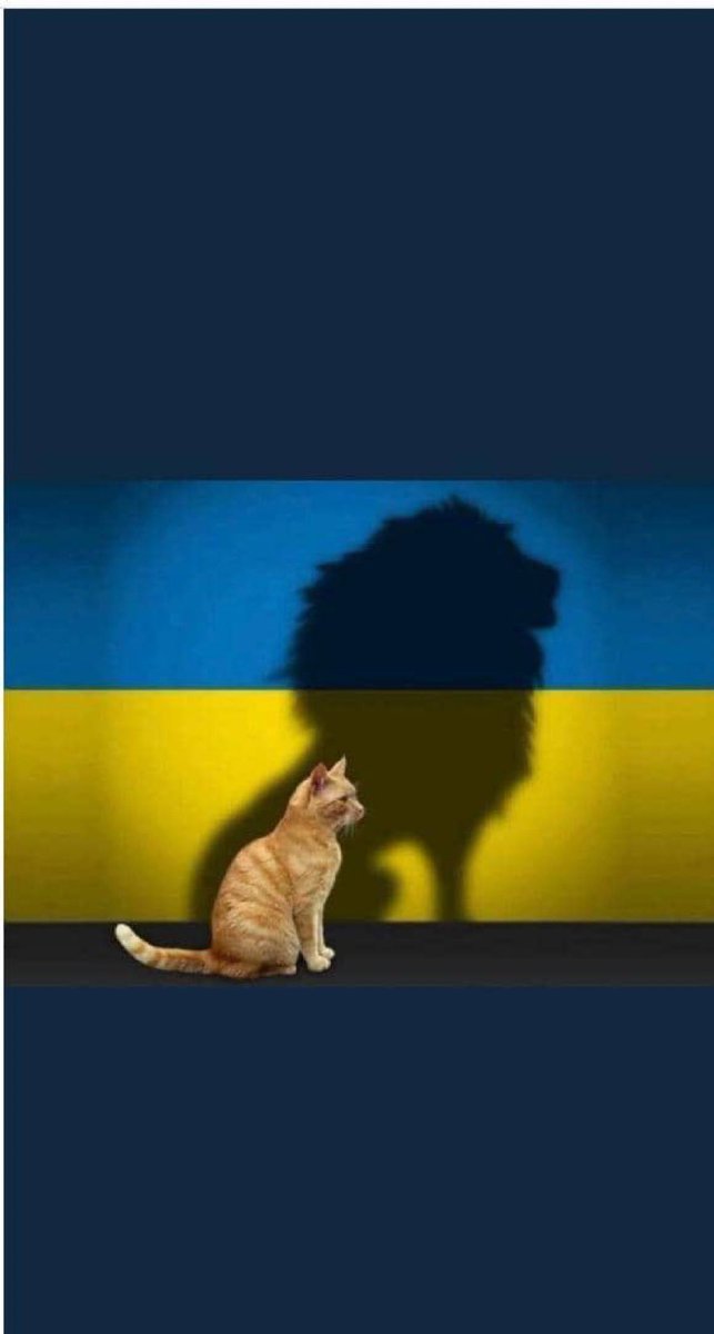 Tizibs's tweet photo. @onuvenezuela @ONU_es @ONU_derechos @ZelenskyyUa
UCRANIA, ejemplo de coraje y valentía, ejemplo de amor a su independencia y libertad!
#VzlaUnidaConUcrania
#StandWithUkraine https://t.co/TfxNdVeYec