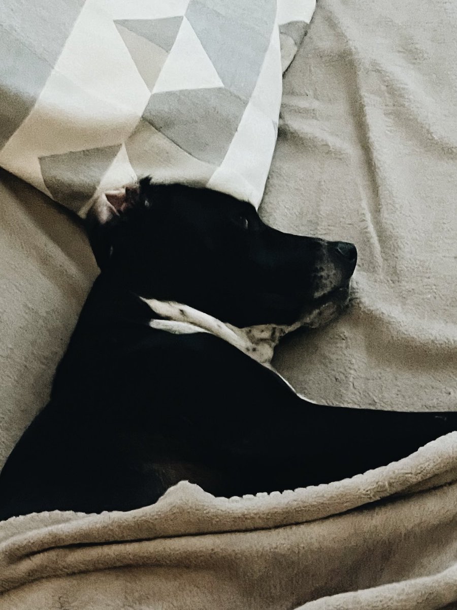 Me: Ugh another day where I have to get up early and work in order to pay bills. Where does all the money gooo 
Sam: