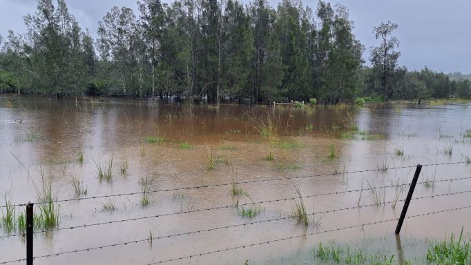 NSW Farmers has welcomed disaster declarations for 17 LGAs affected by heavy rain and flooding👉nswfarmers.org.au/NSWFA/Posts/Me…