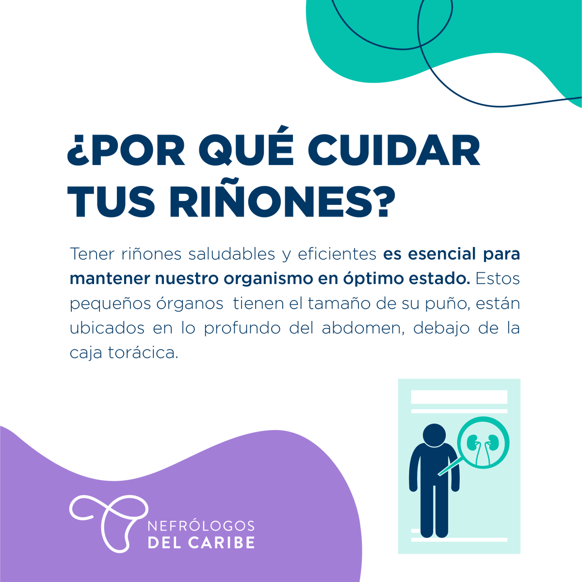 Nefrocaribe tweet media