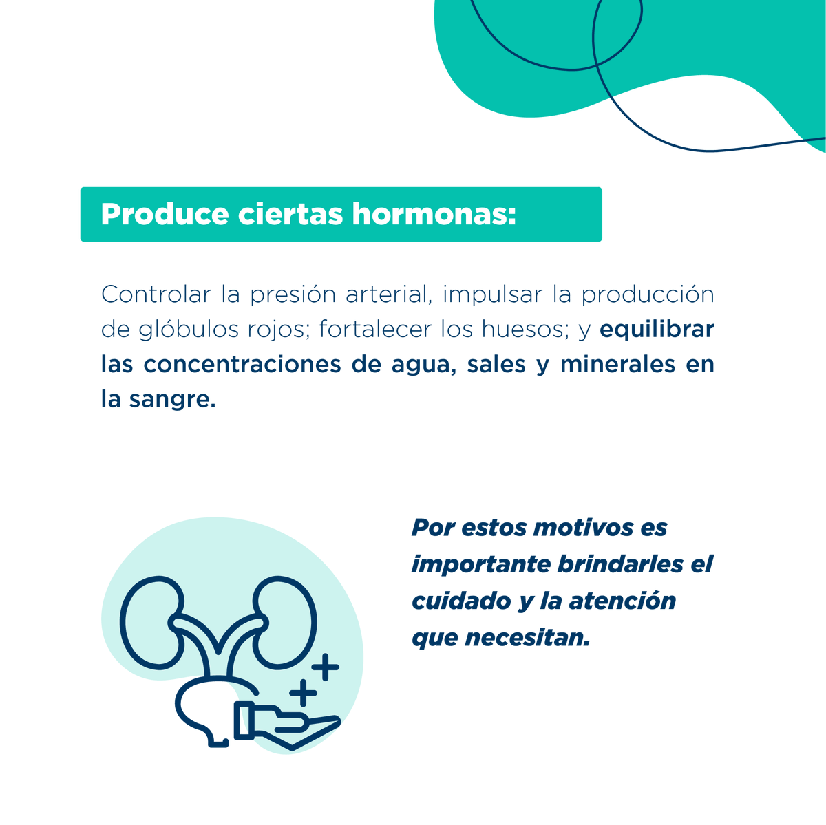 Nefrocaribe tweet media