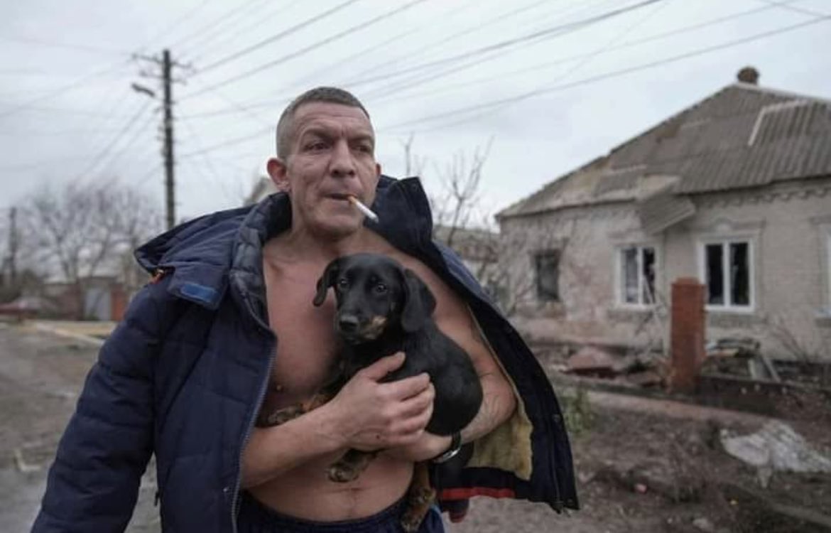 Ich habe den ukrainischen <a href="/MontanaBlack/">GetOnMyLvL</a> gefunden, der Hunde rettet