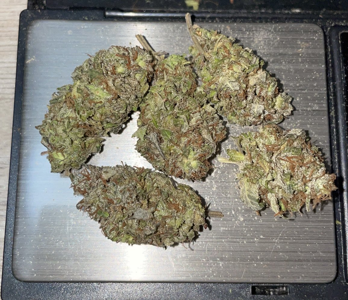 KagoshimaTeoshi's tweet image. 現在5種ありますのでお早めに🙏
詳しくはチャンネルにて！
#鹿児島手押し